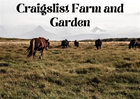 philadelphia craigslist farm and garden|craigslist williamsport pa farm.